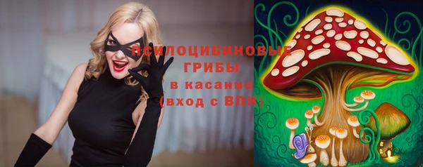 гашик Алексин