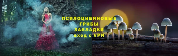 PSILOCYBIN Алексеевка