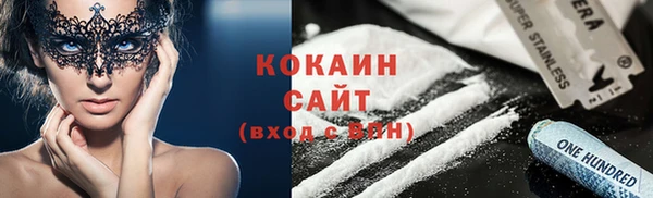 гашик Алексин