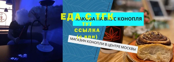 гашик Алексин