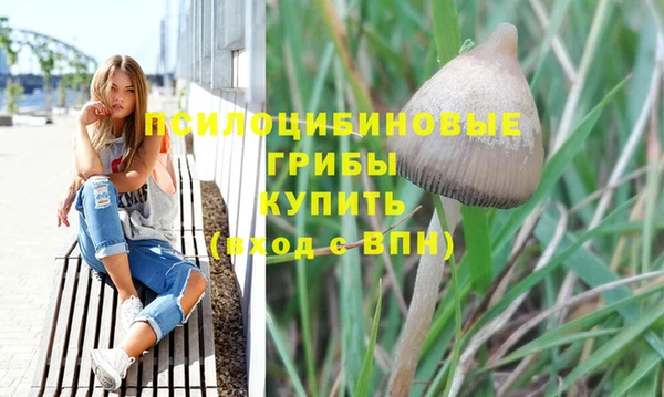 а пвп мука Абаза