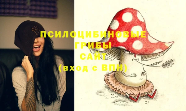 PSILOCYBIN Алексеевка