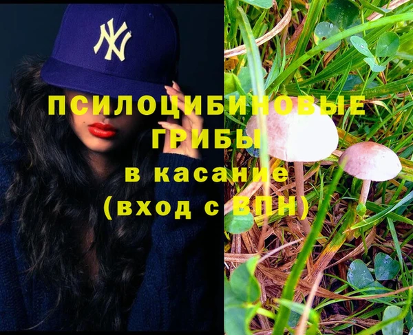 гашик Алексин