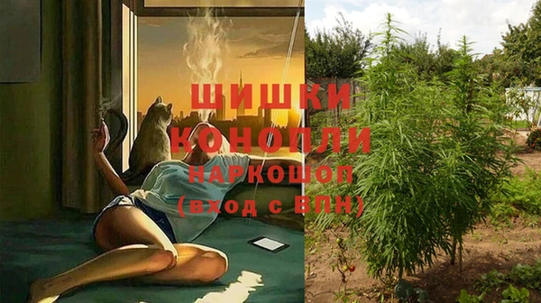 а пвп мука Абаза