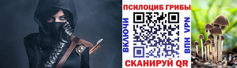 купить закладку  Карпинск  Псилоцибиновые грибы мицелий 