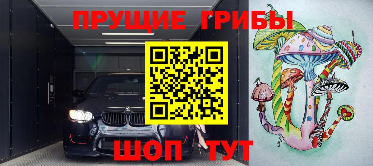 Галлюциногенные грибы Psilocybe Карпинск